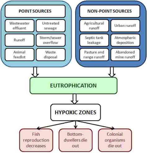 What Are The Major Causes Of Eutrophication