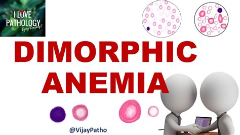 What Causes Dimorphic Anemia